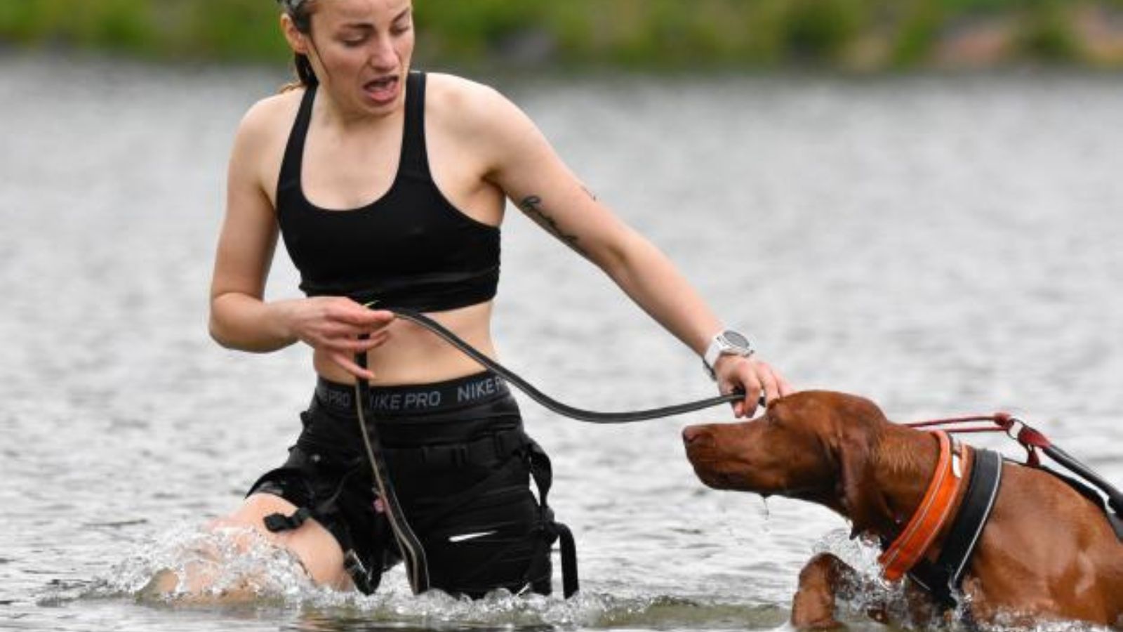 triatlon se psem