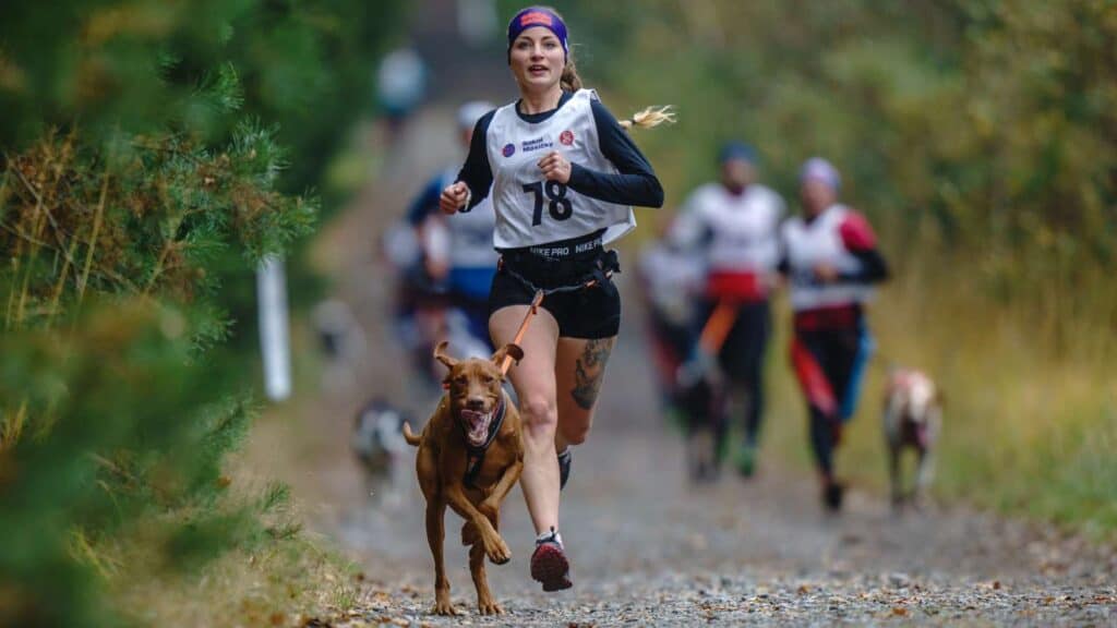 canicross jak začít, canicross trénink praha