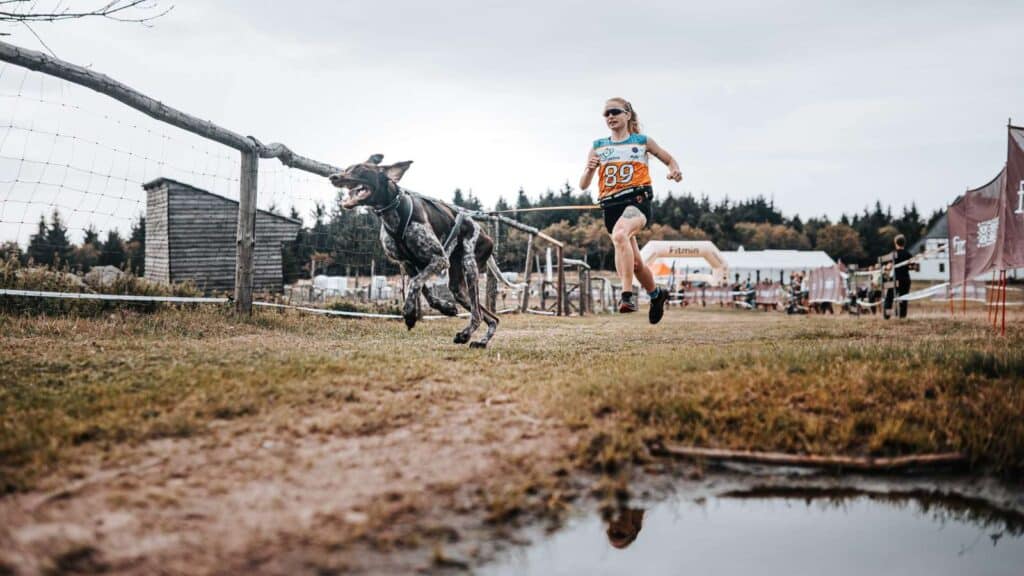canicross jak začít, canicross trénink praha